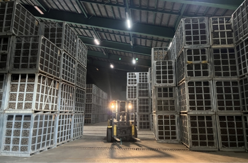  図1-2）開発したLED光源（導入例）