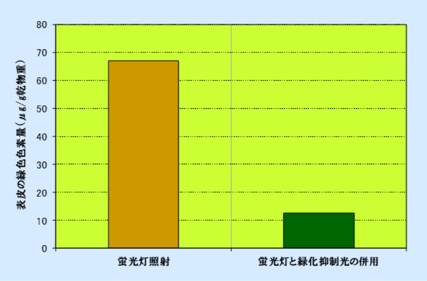 図3）貯蔵（76日）後の萌芽長と萌芽数