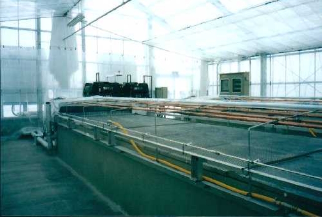 花き・野菜局所冷房育苗システム